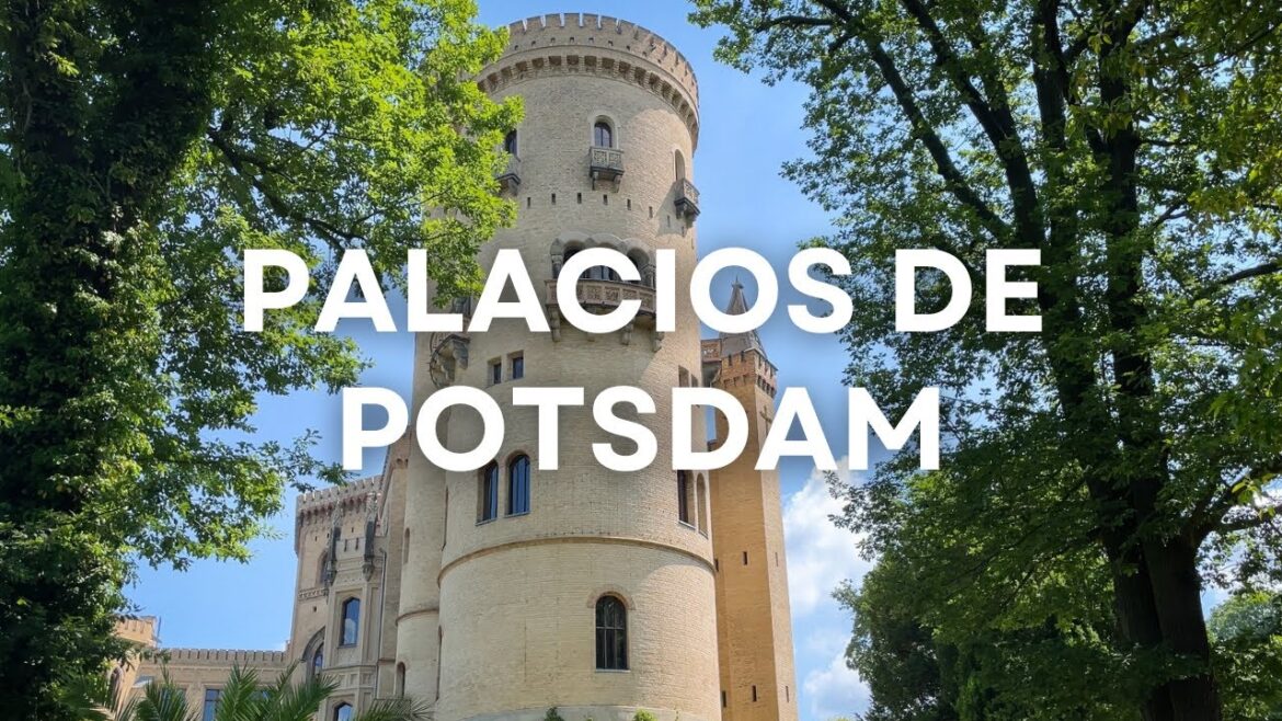 Potsdam: Un paseo por los palacios, barrios y monumentos