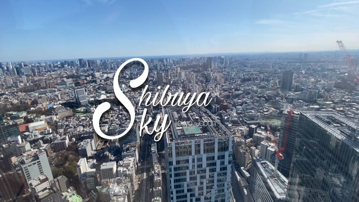 Shibuya Sky in Tokyo Japan #foryou #travel  #shibuyasky  #tokyo