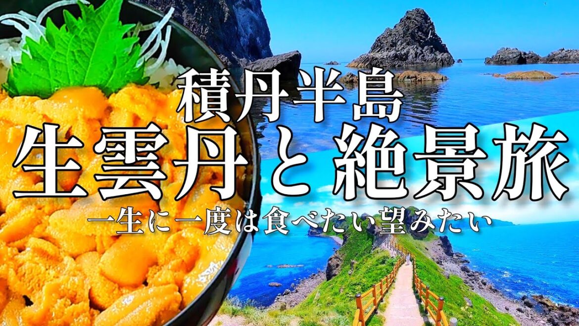 【今しか食べれない】行列必須の超人気店と北海道の絶景に感動の連続でした【積丹半島】 【今しか食べれない】行列必須の超人気店と北海道の絶景に感動の連続でした【積丹半島】