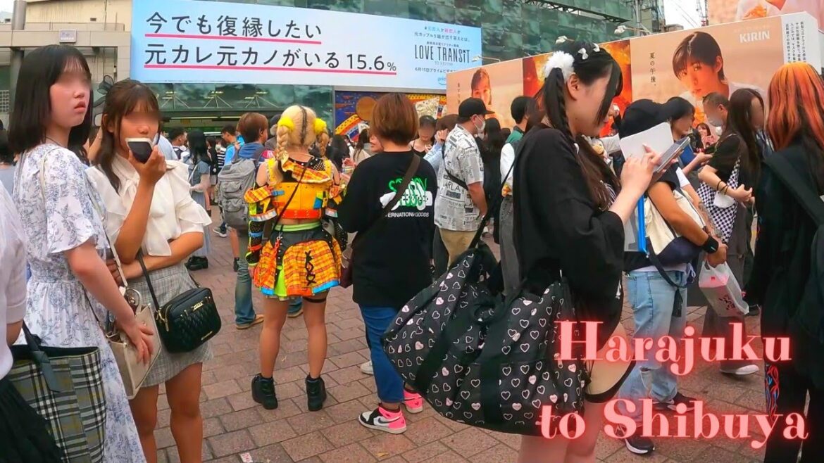 Harajuku to Shibuya Tokyo, in Japan walking tour　【4K】6.2023-24