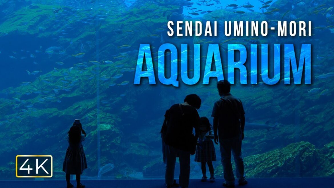 Sendai Umino-Mori Aquarium / 仙台うみの杜水族館