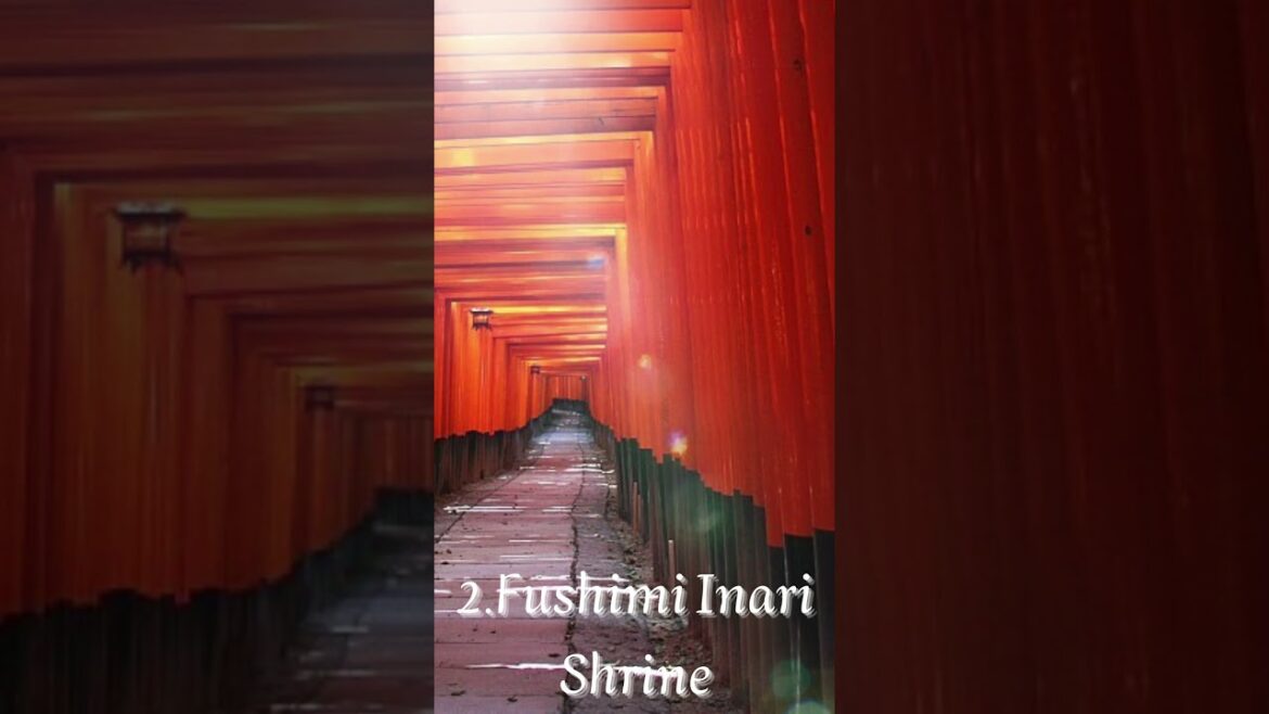 Top 5 attractions in Kyoto Japan#shorts#travelling#kyoto#japan