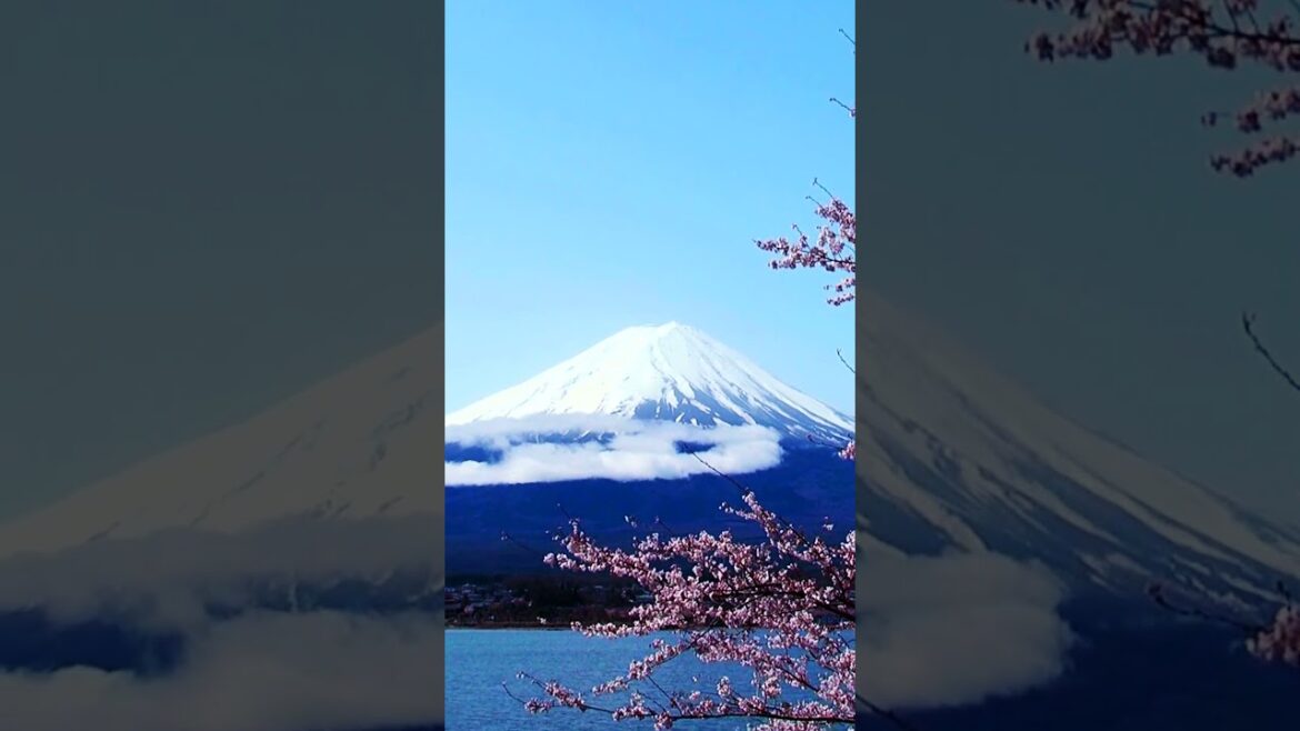 Top 5 VIEWS in Japan 🤯🤯