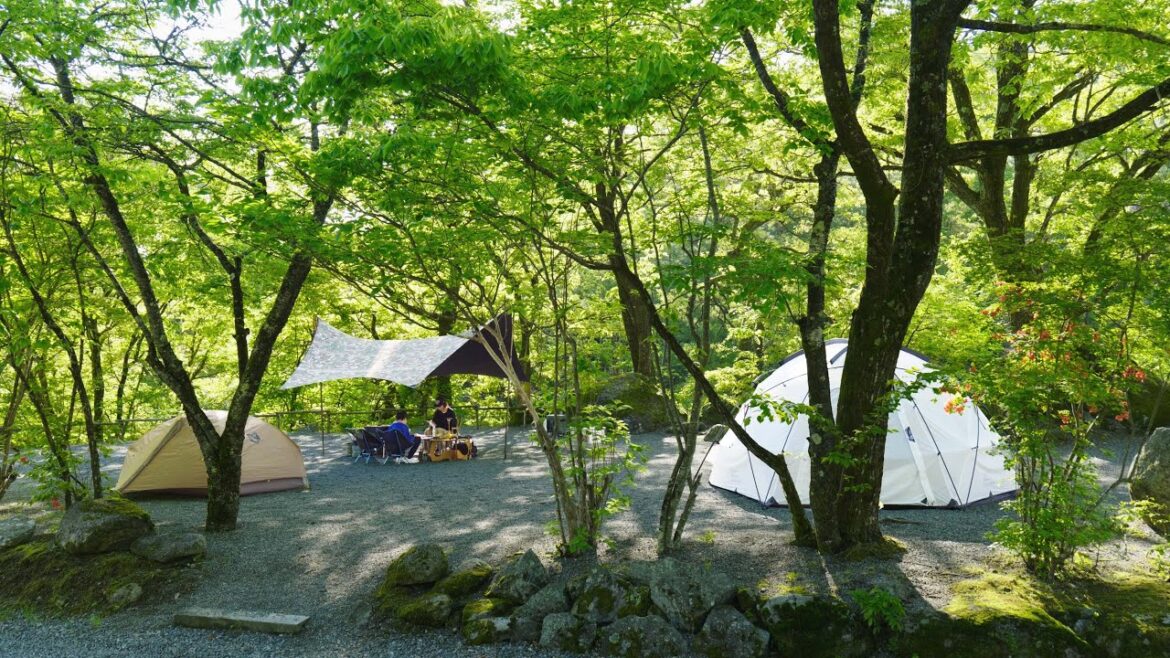 【ファミリーキャンプ】美しい緑の森で家族と焚火を楽しむキャンプ MOBI GARDEN, Commander185, Mac One, ASMR (Foresters Village Kobitto)