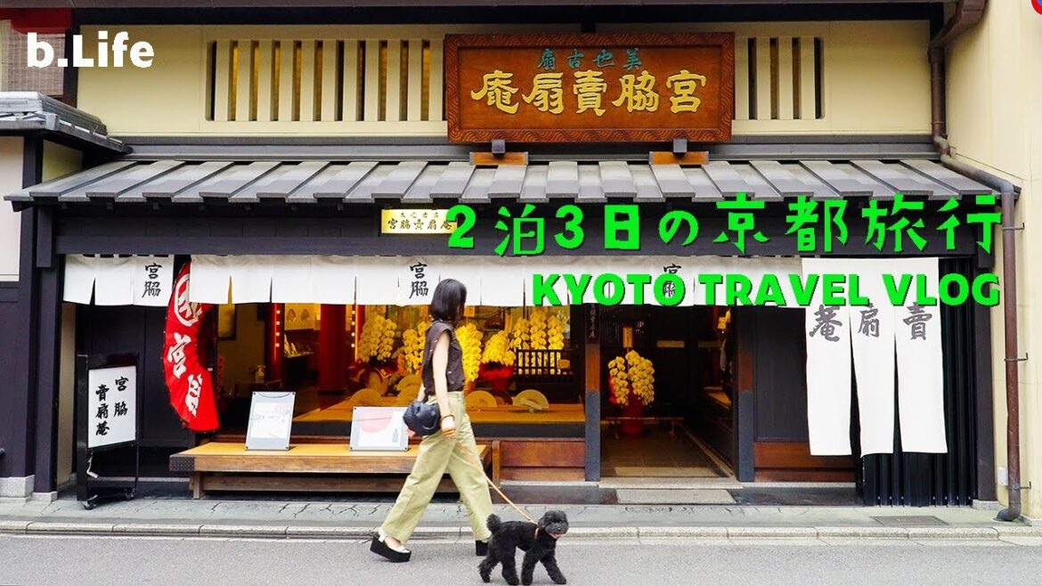 京都旅行vlog/2泊3日の夫婦旅行/大人カップルにおすすめモデルコース/ 初夏の京都の納涼/観光地巡り/Kyoto travel vlog in Japan 2023 京都旅行vlog/2泊3日の夫婦旅行/大人カップルにおすすめモデルコース/ 初夏の京都の納涼/観光地巡り/Kyoto travel vlog in Japan 2023