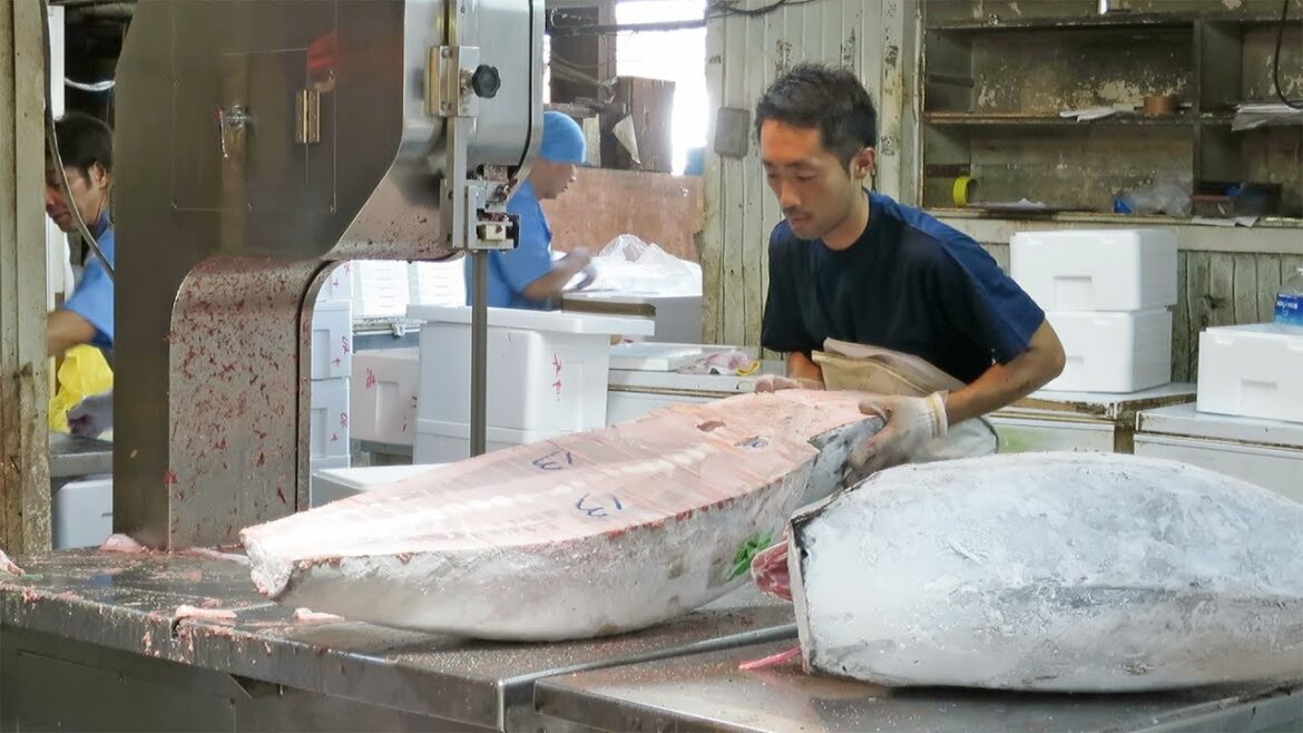 Cutting Whole Flash Frozen Tuna - Incredible!