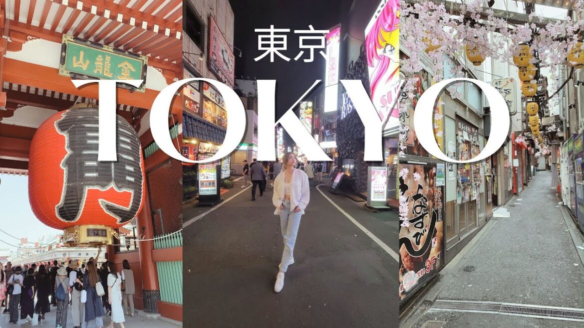 japan diaries 🇯🇵: shinjuku, asakusa & akihabara