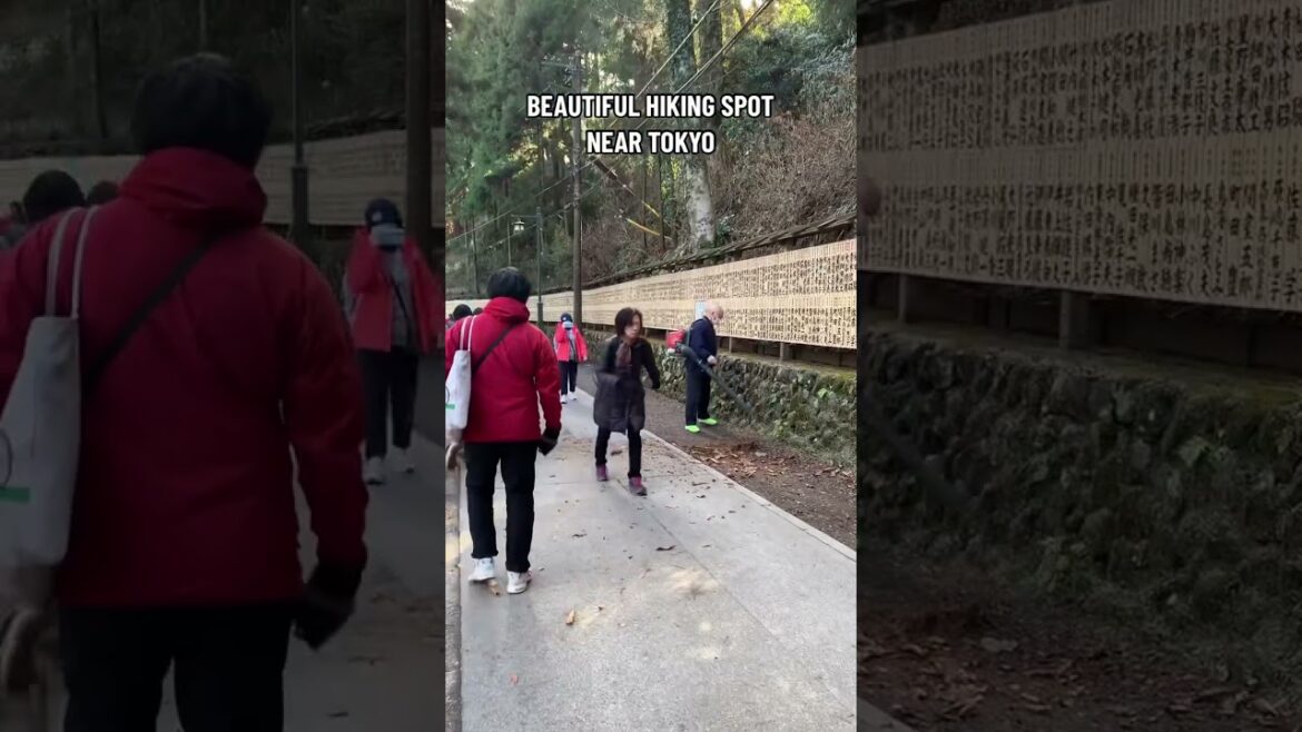 THINGS YOU MUST DO IN JAPAN |MOUNTAIN TAKAO #tokyohiking THINGS YOU MUST DO IN JAPAN |MOUNTAIN TAKAO #tokyohiking