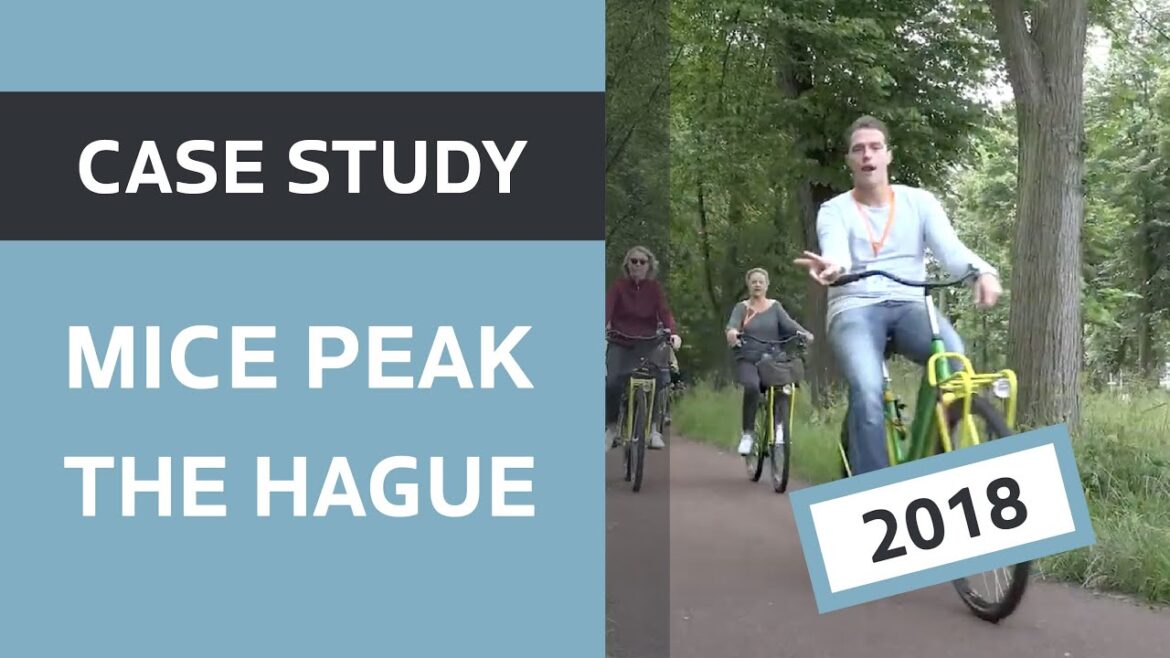 Case Study: MICE Peak 2018 in The Hague