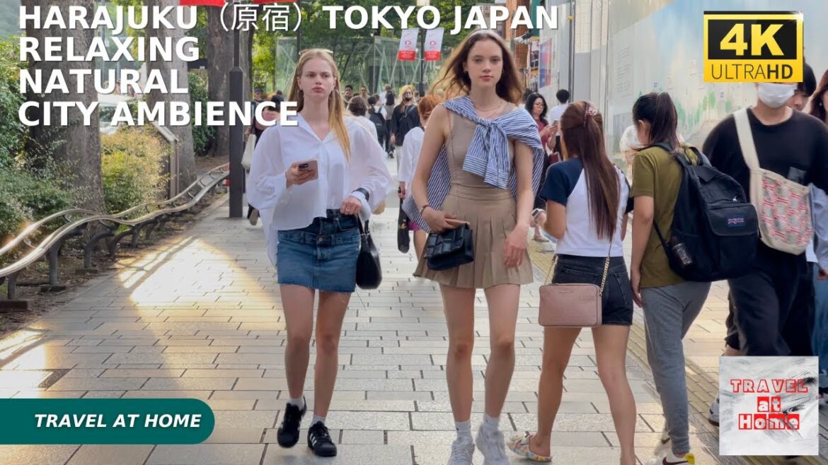 4k hdr japan travel | Walk in Harajuku(原宿)Tokyo japan | Relaxing Natural City ambience 4k hdr japan travel | Walk in Harajuku(原宿)Tokyo japan | Relaxing Natural City ambience