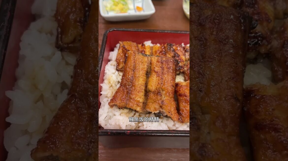 【日本美食】福岡有名的鰻魚飯百年老店,傳承了鰻魚必須老闆親自一條一條的烤! #日本 #解密日本 #福岡 #鰻魚飯 #日本旅遊 #日本美食 #美食探店 #探店 #日本旅行 #日本生活 【日本美食】福岡有名的鰻魚飯百年老店,傳承了鰻魚必須老闆親自一條一條的烤! #日本 #解密日本 #福岡 #鰻魚飯 #日本旅遊 #日本美食 #美食探店 #探店 #日本旅行 #日本生活