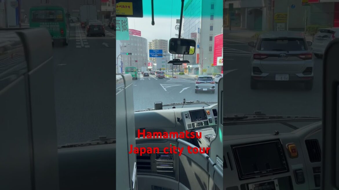 Hamamatsu Japan city tour