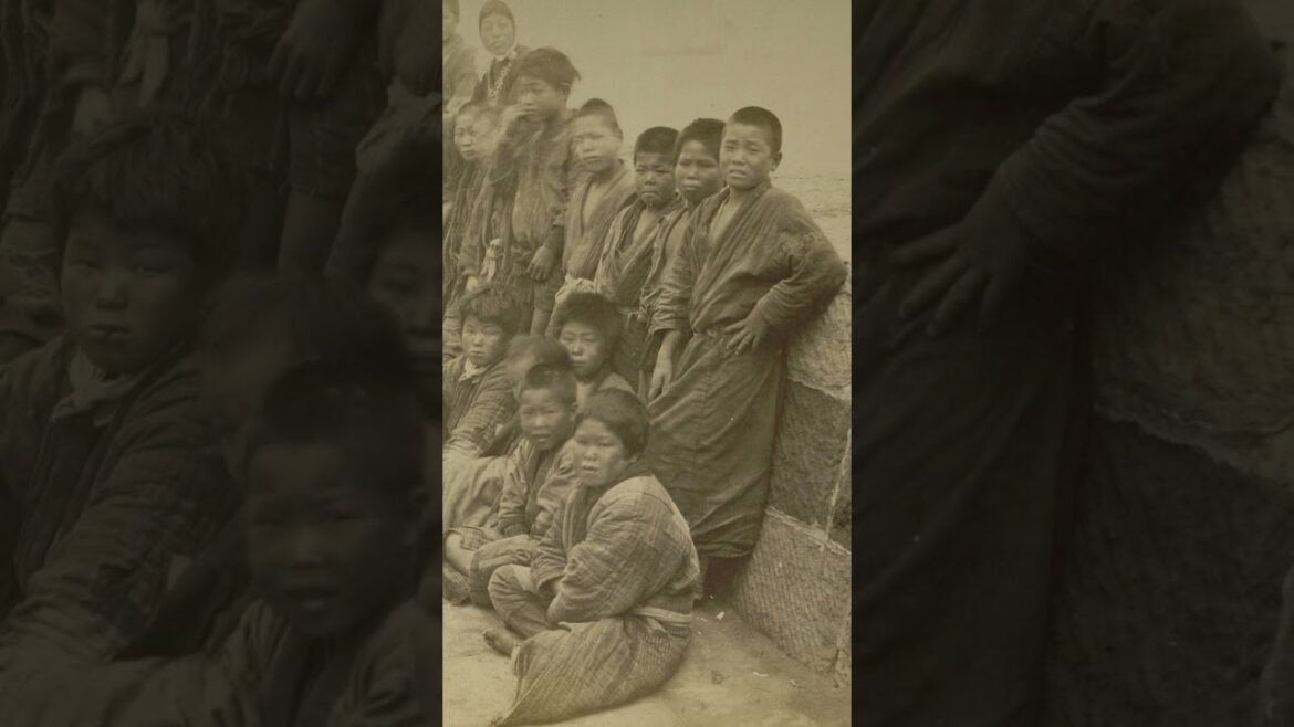 Das Japan, das niemand kennt  Die Kinder des Hafens von Yokohama　#shorts