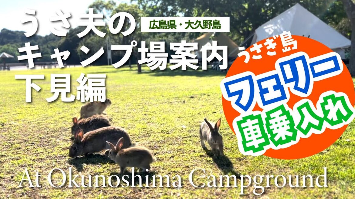 【うさぎ島でキャンプ】うさぎの島大久野島にフェリーでキャンプ場の下見に行ってきました。アドバイス・注意事項などお知らせします【大久野島】 【うさぎ島でキャンプ】うさぎの島大久野島にフェリーでキャンプ場の下見に行ってきました。アドバイス・注意事項などお知らせします【大久野島】
