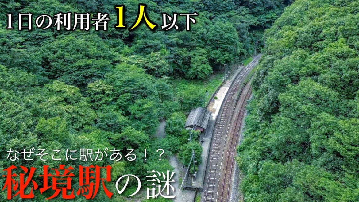 【脱出困難】徒歩でしか行けない秘境駅で止まった時間を巻き戻してきた。ノスタルジックで寂しい駅 / 徳島県の秘境「坪尻駅」(スイッチバック駅) 【脱出困難】徒歩でしか行けない秘境駅で止まった時間を巻き戻してきた。ノスタルジックで寂しい駅 / 徳島県の秘境「坪尻駅」(スイッチバック駅)