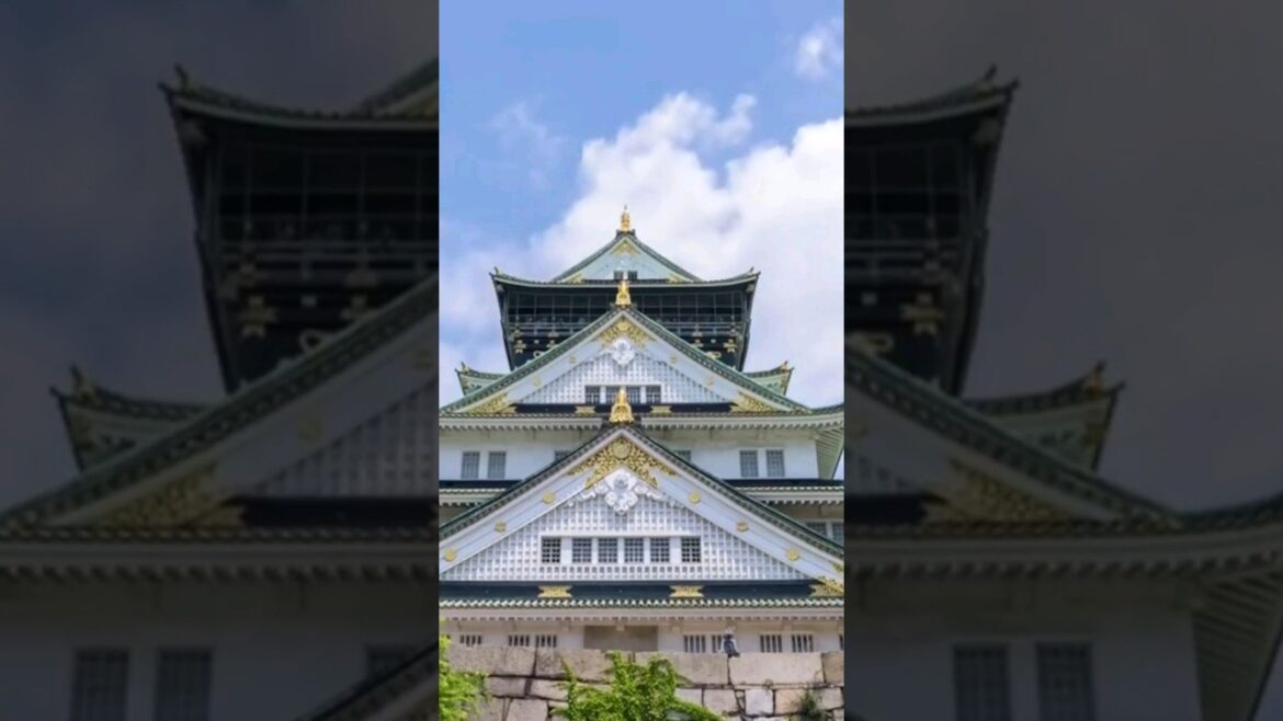 Japan - fakta dan travel guide #shortfeed #japan