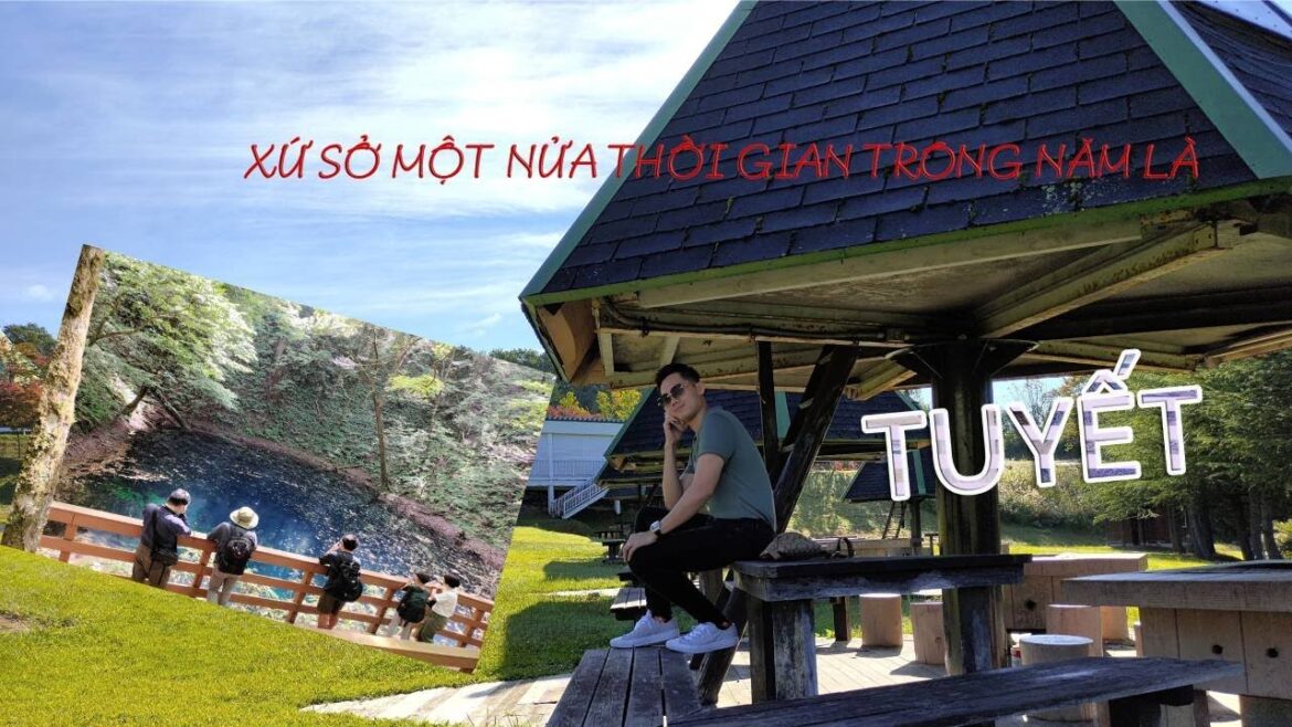 Tham quan AOMORI – Vùng đất nửa năm là TUYẾT có khó sống? | Du lịch Nhật Bản Tham quan AOMORI - Vùng đất nửa năm là TUYẾT có khó sống? | Du lịch Nhật Bản