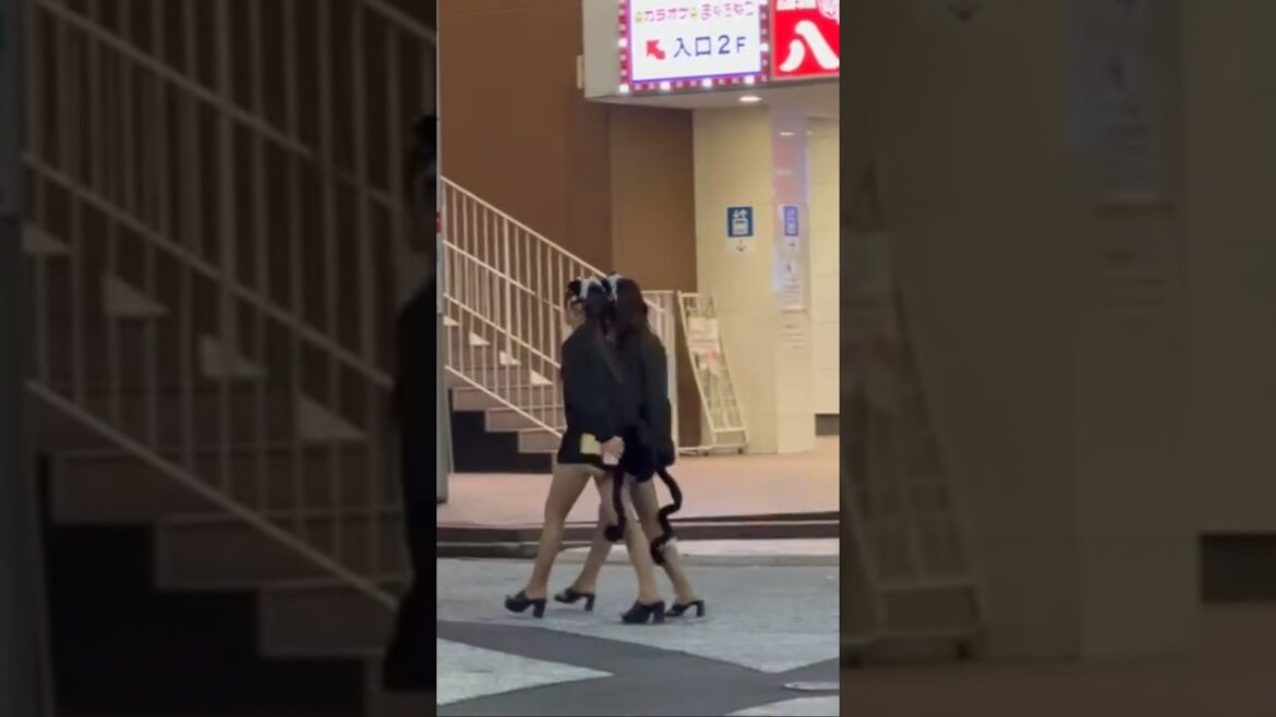 Hiroshima night walk😳😳#shorts #hiroshimatravel