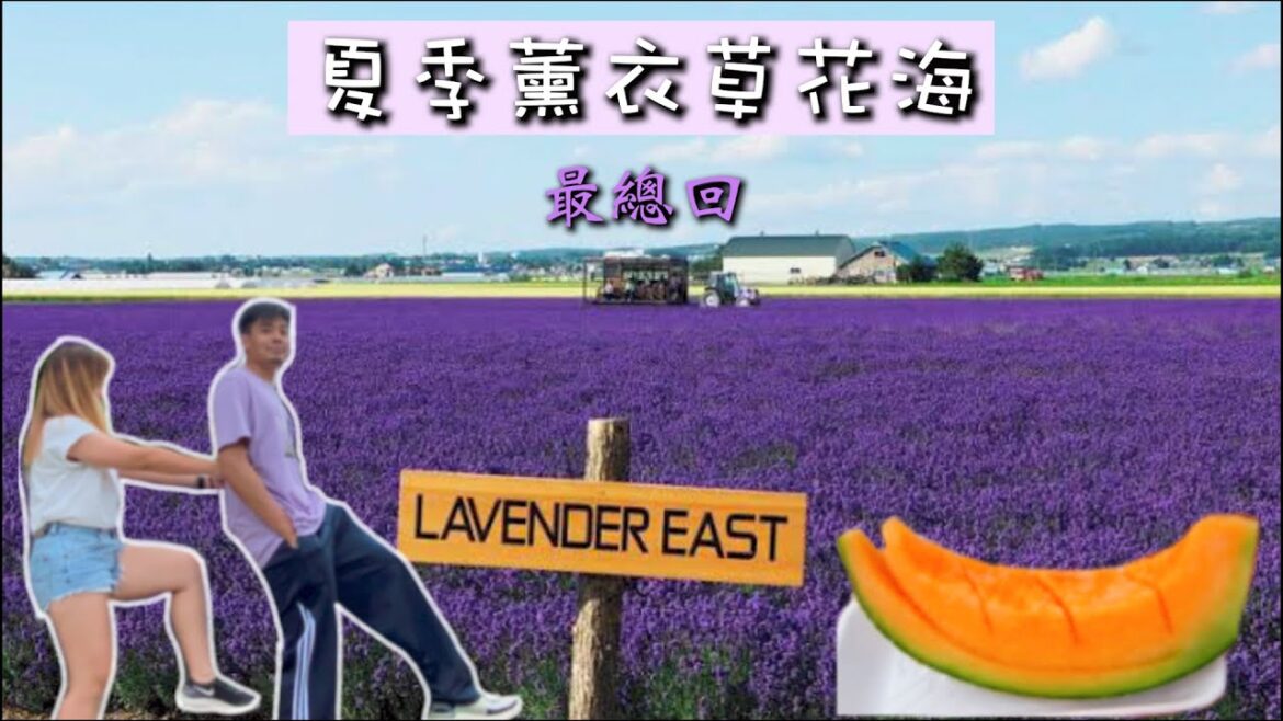 北海道夏天之旅最終回 【富良野富田農場】薰衣草季節超人氣 “彩色花田” Furano Tomita Farm 北海道夏天之旅最終回 【富良野富田農場】薰衣草季節超人氣 “彩色花田” Furano Tomita Farm