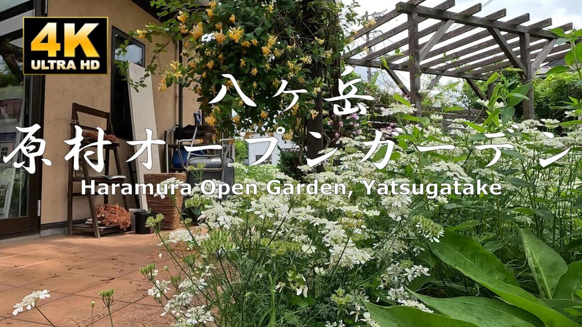八ヶ岳原村オープンガーデン巡り(外周5か所) Yatsugatake Haramura Open Garden Tour (5 locations around the perimeter) 八ヶ岳原村オープンガーデン巡り(外周5か所) Yatsugatake Haramura Open Garden Tour (5 locations around the perimeter)