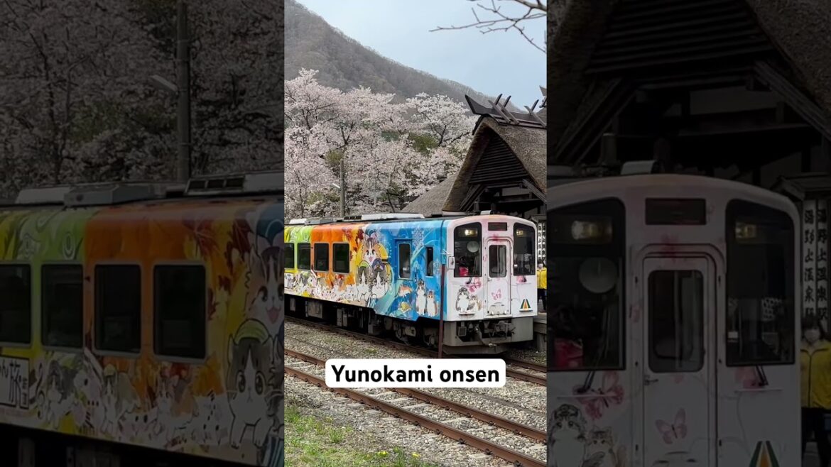 Yunokami onsen..beautiful Japanese train station 😃🚂 #yunokamionsen #fukushima #onthewayjourney