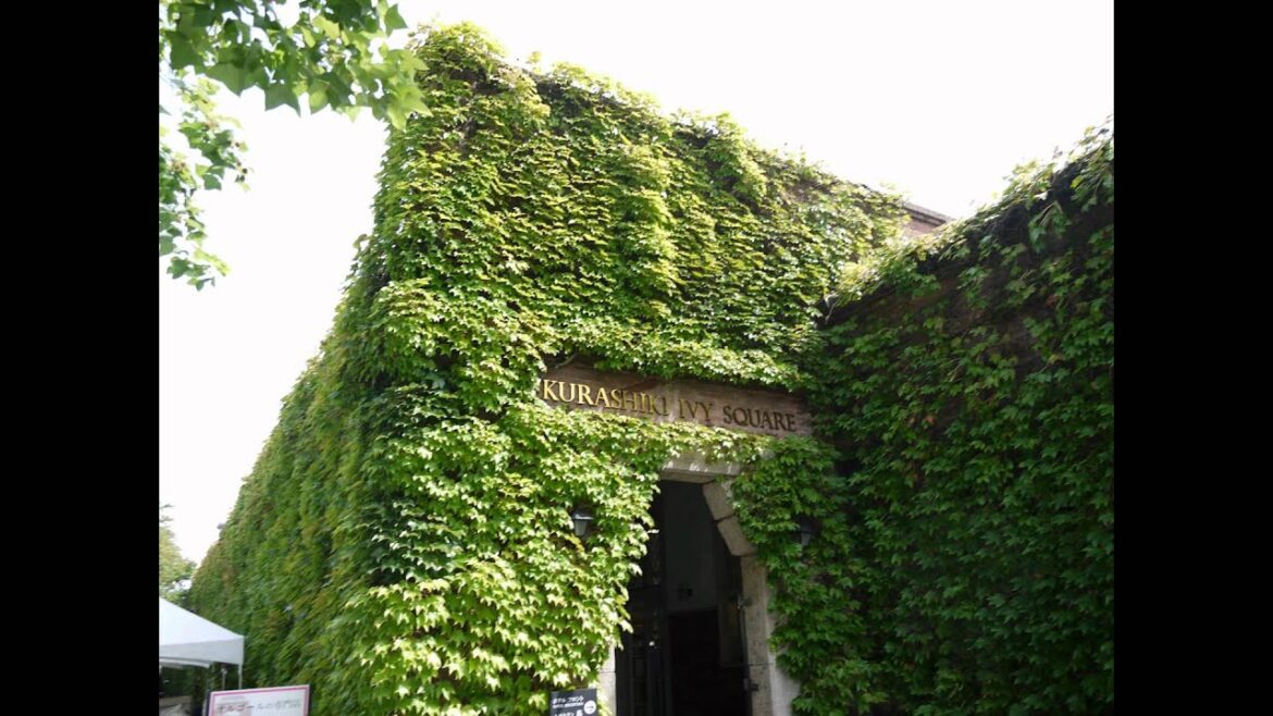 倉敷アイビースクエア