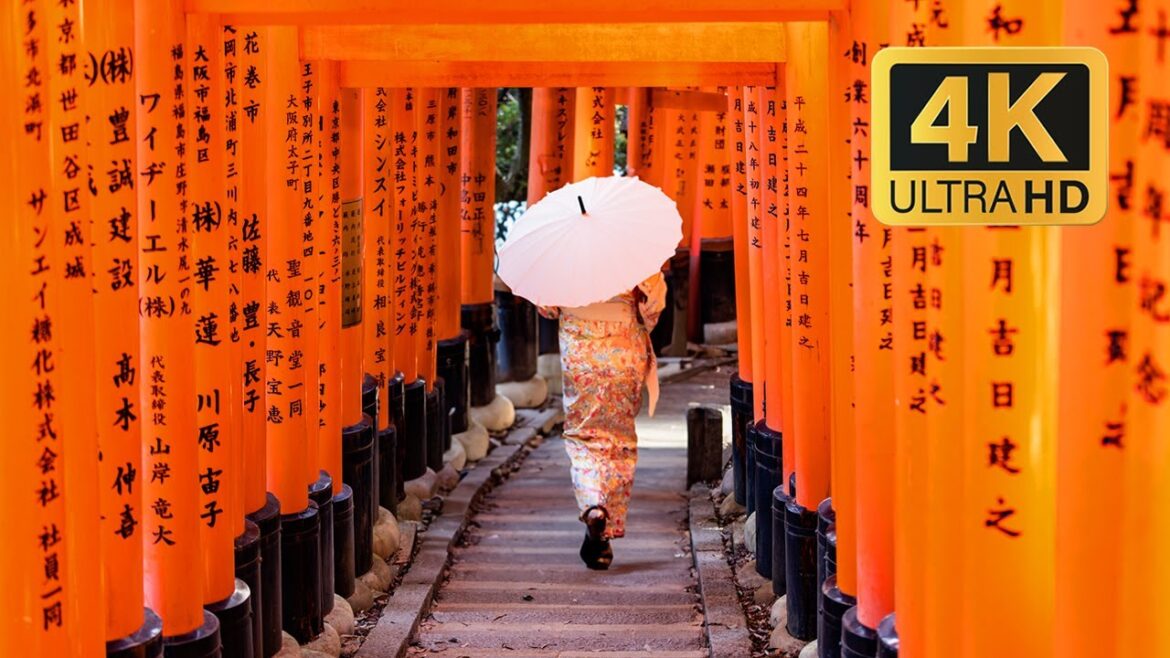 π―π΅ Into the Red Gates: A Breathtaking Tour of Fushimi Inari Shrine π―π΅ Into the Red Gates: A Breathtaking Tour of Fushimi Inari Shrine