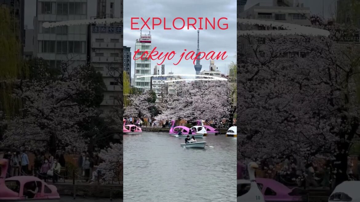 Exploring Tokyo Japan: Uncovering Tokyo’s Secret Spots #shorts Exploring Tokyo Japan: Uncovering Tokyo's Secret Spots #shorts