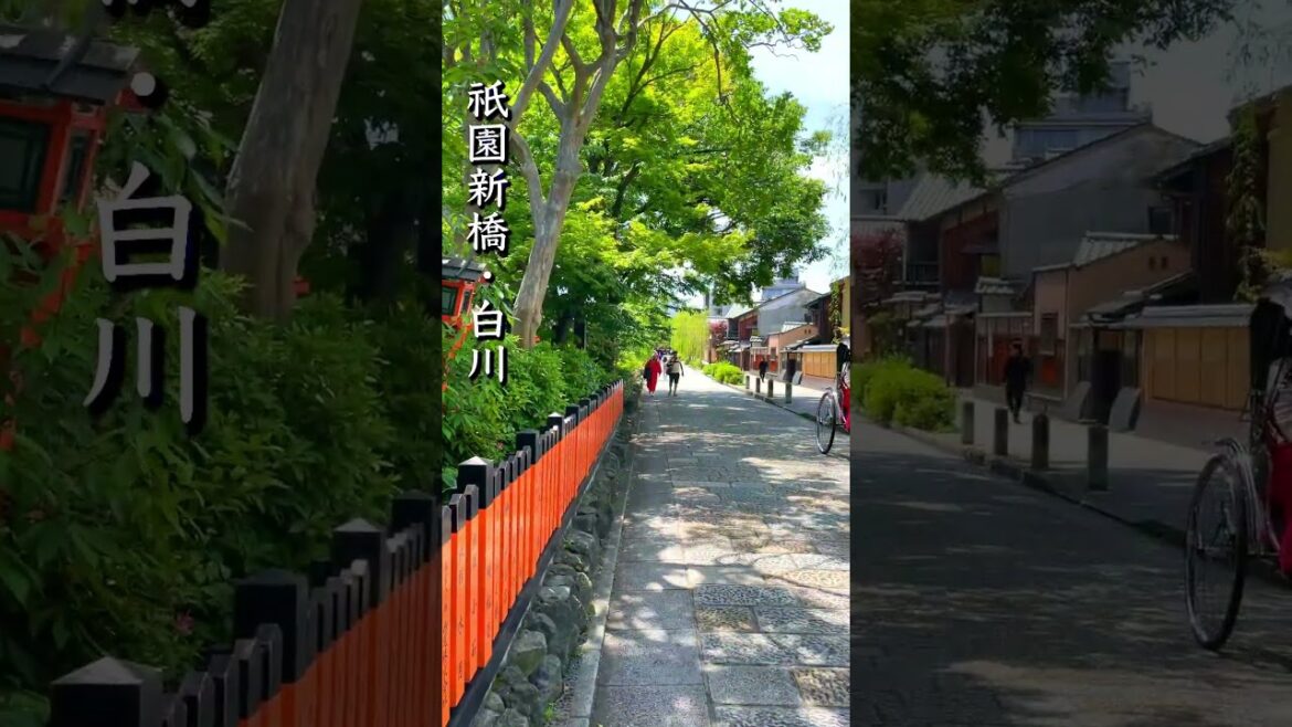 [京都/Kyoto] 祇園新橋・白川 #shorts #kyoto #japan