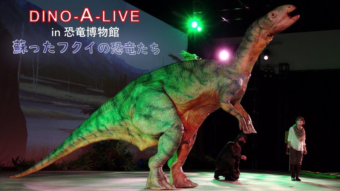 超恐竜体験DINO-A-LIVE in 恐竜博物館 蘇った福井の恐竜たち★フクイサウルス初登場!DINO-A-LIVE in Fukui Prefectural Dinosaur Museum 4K 超恐竜体験DINO-A-LIVE in 恐竜博物館 蘇った福井の恐竜たち★フクイサウルス初登場!DINO-A-LIVE in Fukui Prefectural Dinosaur Museum 4K