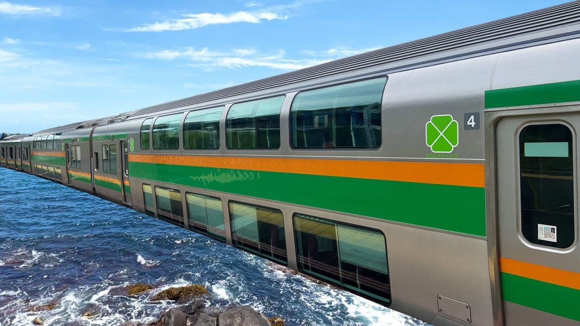 【絶景】東京の巨大二階建て列車がまるで海の上を走る⁉️🌊ボリューム満点🍣至福の海鮮グルメ旅｜東京ー真鶴