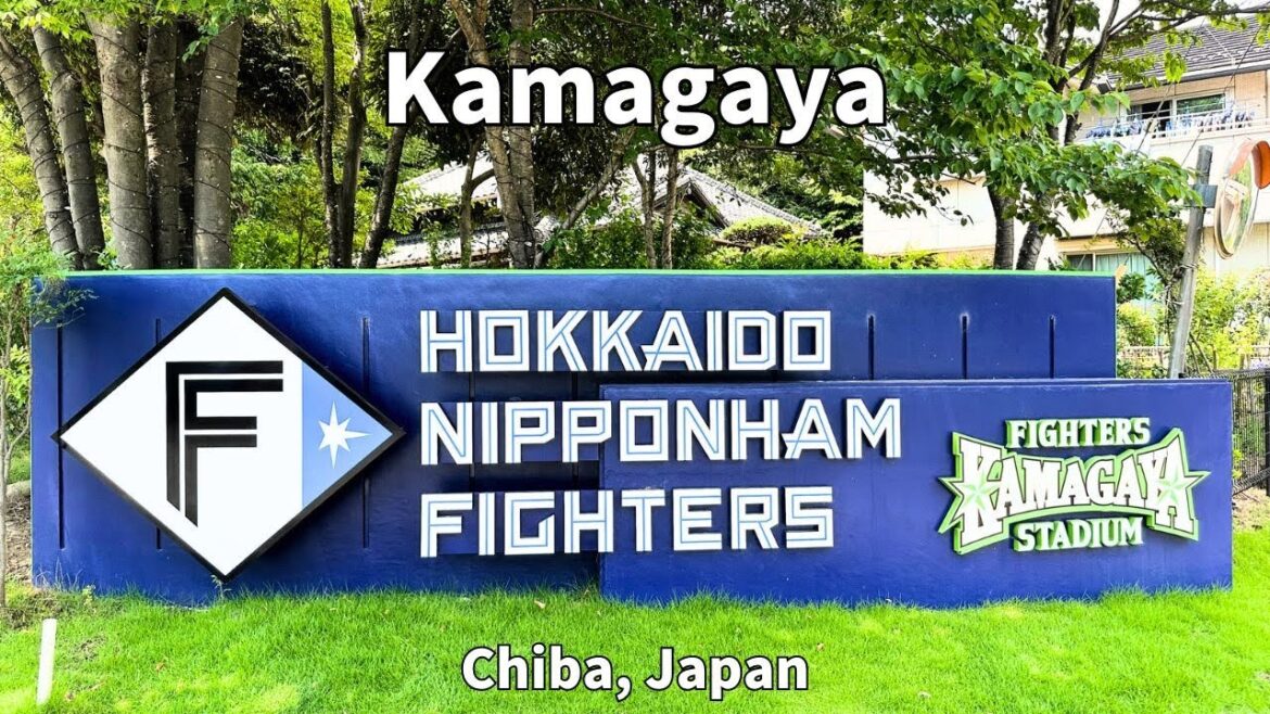 Nipponham Fighters Kamagaya Stadium, Chiba | JAPAN Walking Tour