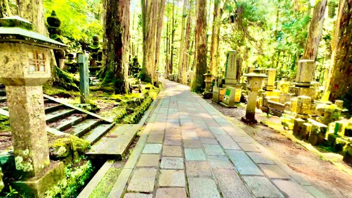 【和歌山県】世界遺産の高野山 奥の院 パワースポットを歩こう!そして和歌山ラーメン! 【和歌山県】世界遺産の高野山 奥の院 パワースポットを歩こう!そして和歌山ラーメン!