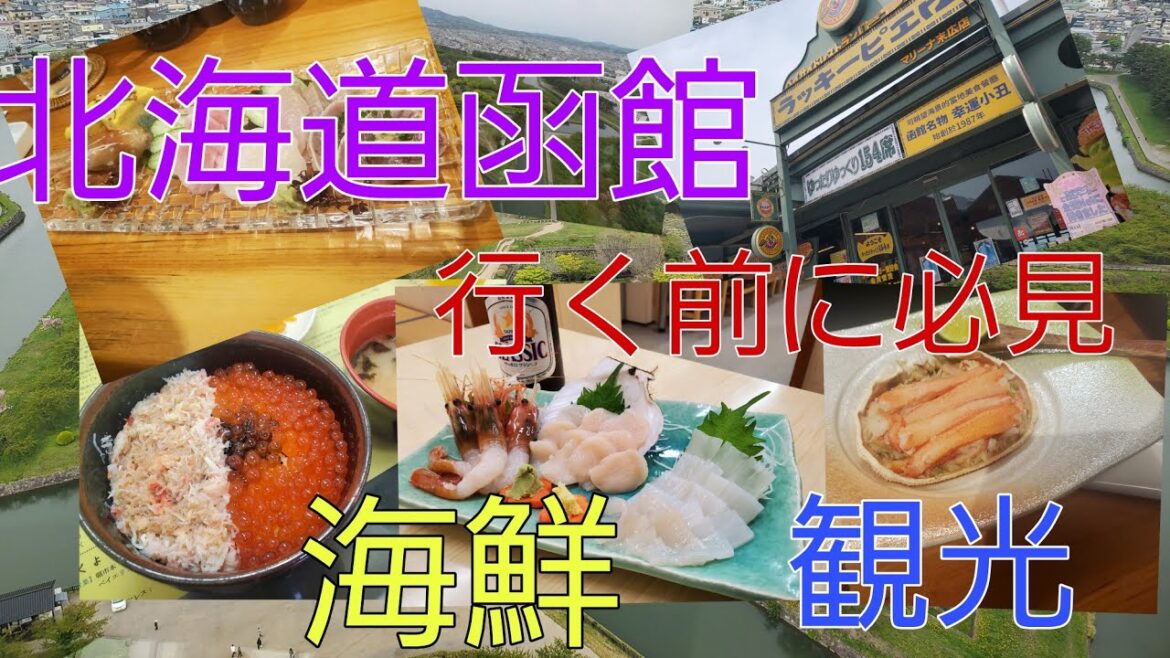 【北海道】韓国帰りに北海道寄ってきた