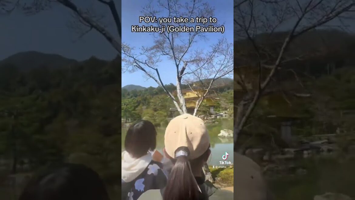 The Golden Pavilion: Unveiling the Beauty of Kinkaku-ji in Kyoto! The Golden Pavilion: Unveiling the Beauty of Kinkaku-ji in Kyoto!