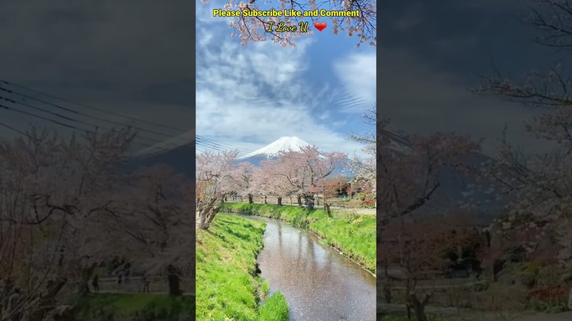 Keindahan Alam Terpencil Gunung Fuji #shorts #traveling #vacation