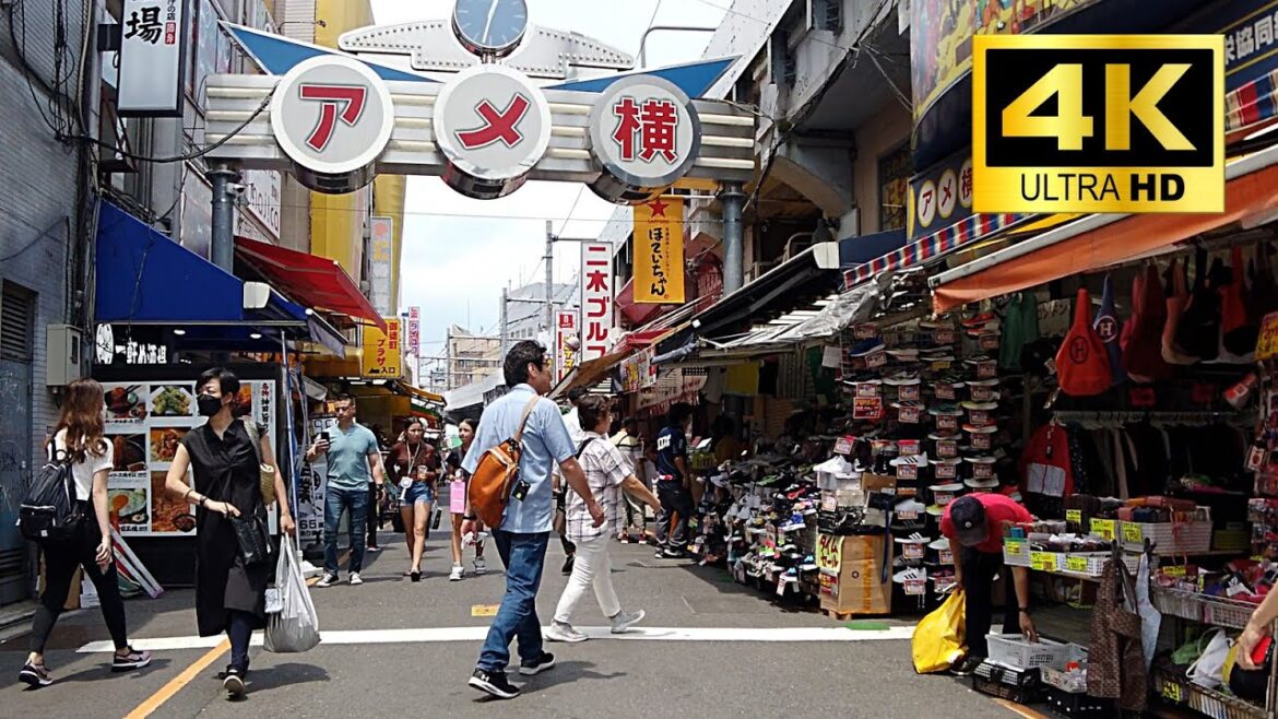 Ueno, Tokyo - Ameyoko/Ueno Park/Torii gate