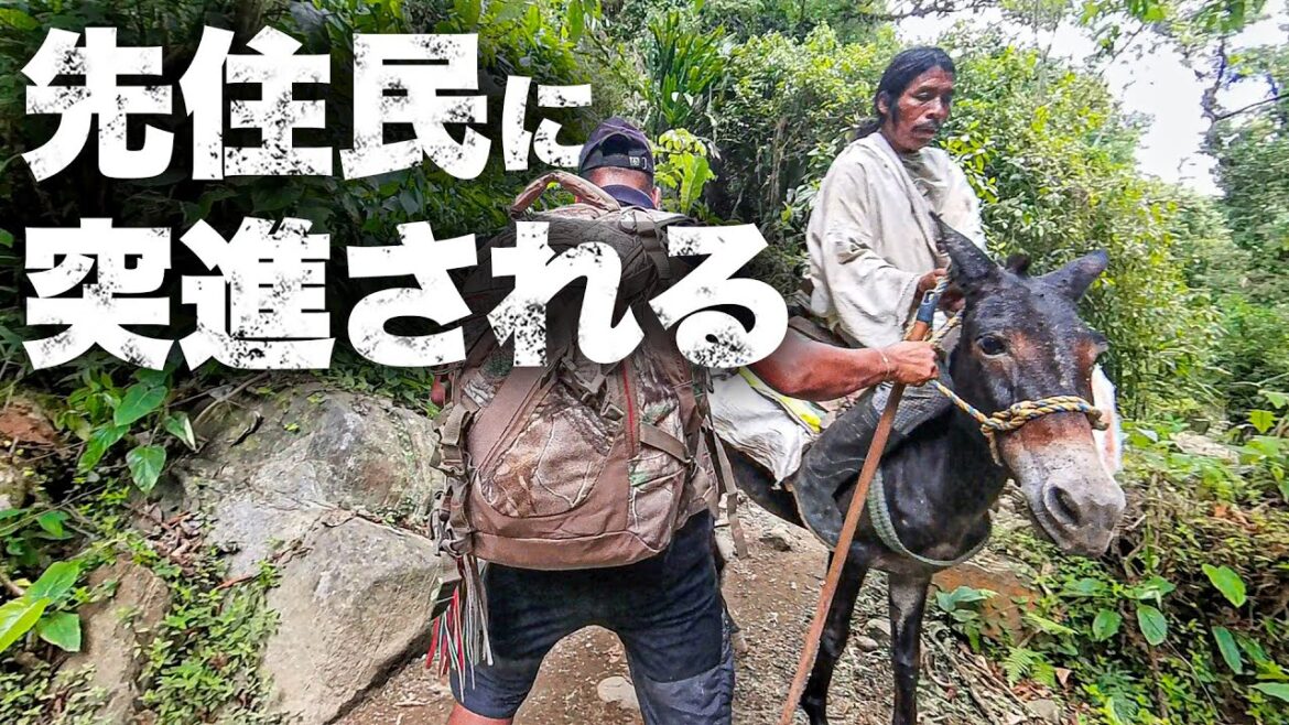 ジャングルの先住民の敷地に入ったら突進された|ロストシティ 2日目 ジャングルの先住民の敷地に入ったら突進された|ロストシティ 2日目