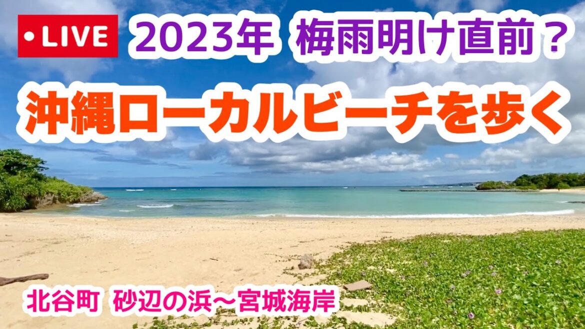 【沖縄の今をお届け】2023年梅雨明け直前の沖縄からライブ実況「沖縄旅行情報」