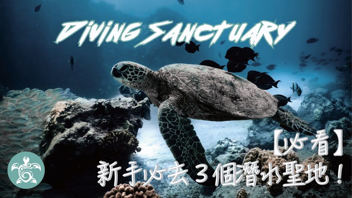Diving Sanctuary |【必看】新手潛水愛好者必去的3個聖地! Diving Sanctuary |【必看】新手潛水愛好者必去的3個聖地!