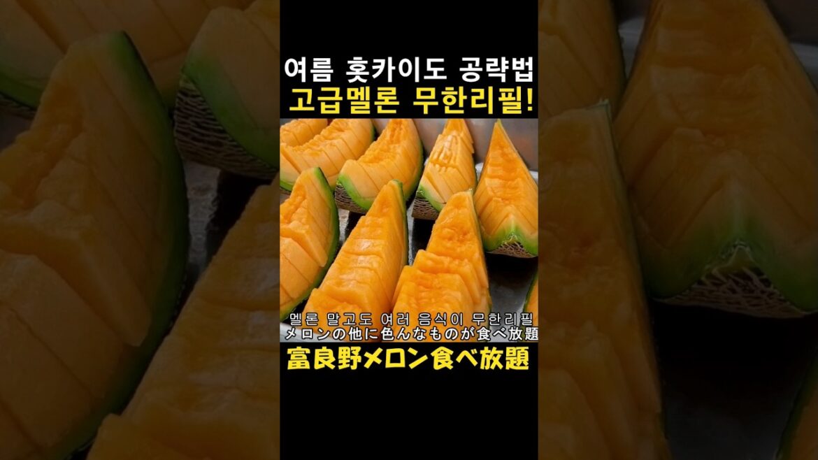 현지인 추천 극강 가성비 홋카이도 후라노 멜론 무한리필 맛집 l 한일부부의 일본여행 브이로그 l 고로케 라벤더 소프트크림 현지인 추천 극강 가성비 홋카이도 후라노 멜론 무한리필 맛집 l 한일부부의 일본여행 브이로그 l 고로케 라벤더 소프트크림