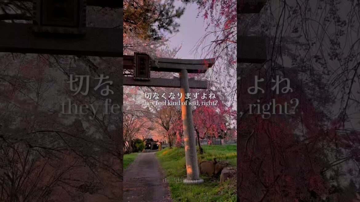 Check Description for location | Torii Whispers #japantravel #japanvlog #japan #japaneseculture