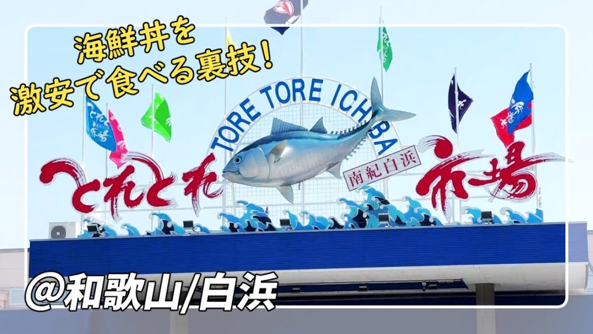 南紀白浜観光スポット !とれとれ市場のオススメ海鮮グルメ/おみやげ/遊びスポット!【和歌山/白浜】 南紀白浜観光スポット !とれとれ市場のオススメ海鮮グルメ/おみやげ/遊びスポット!【和歌山/白浜】