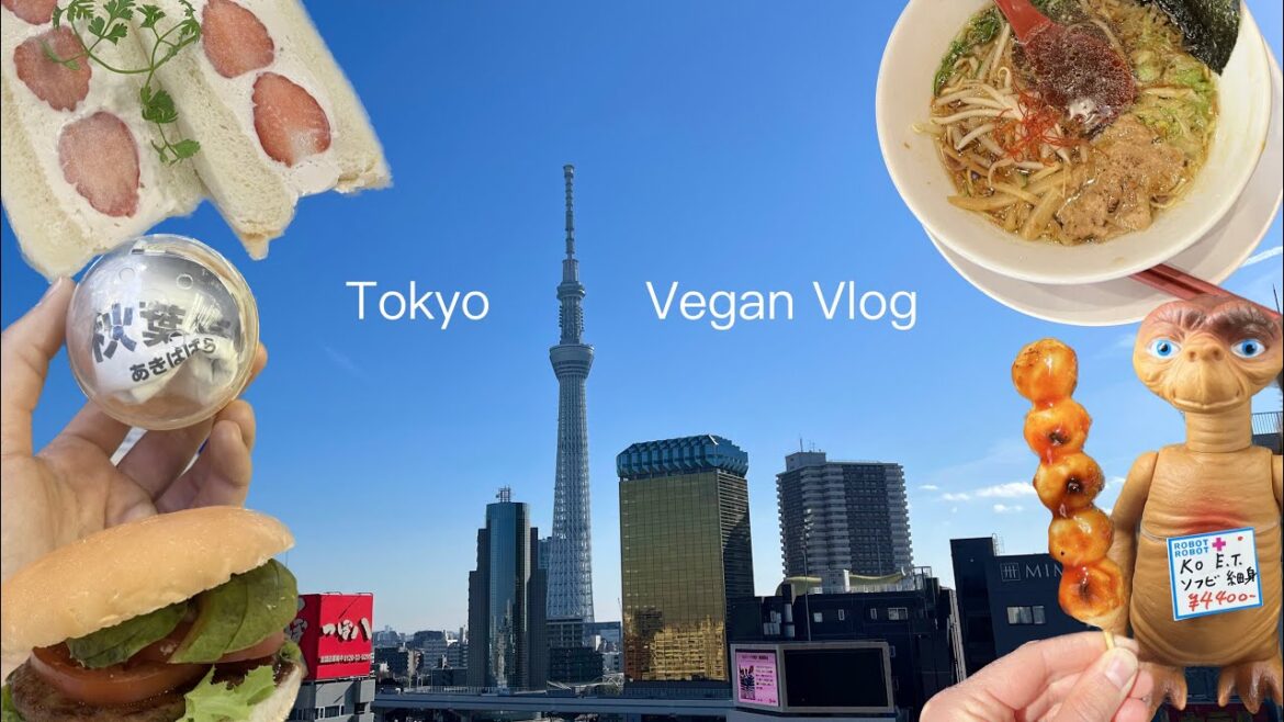 Retro Tokyo 👾 Nakano Broadway, Daiso, Vegan eats | Japan Vegan Travel - Part 13