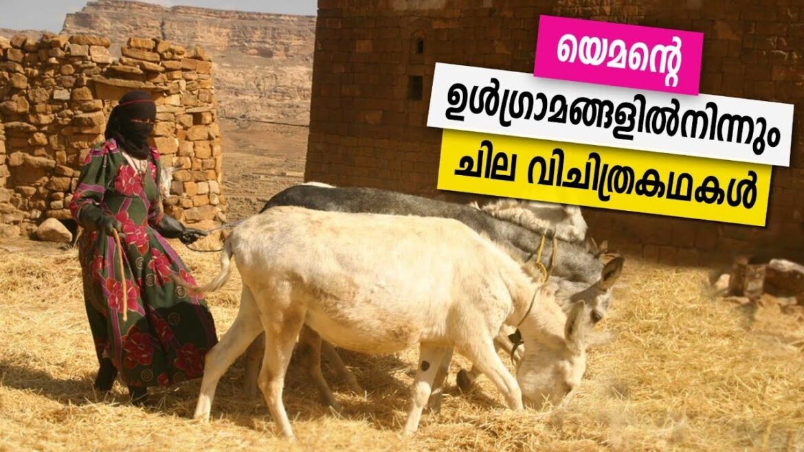 Sancharam | By Santhosh George Kulangara | Yemen 12 | Safari TV Sancharam | By Santhosh George Kulangara | Yemen 12 | Safari TV