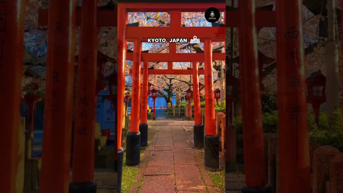 kyoto japan 🗼🗼 #travelling #travel #shorts kyoto japan 🗼🗼 #travelling #travel #shorts