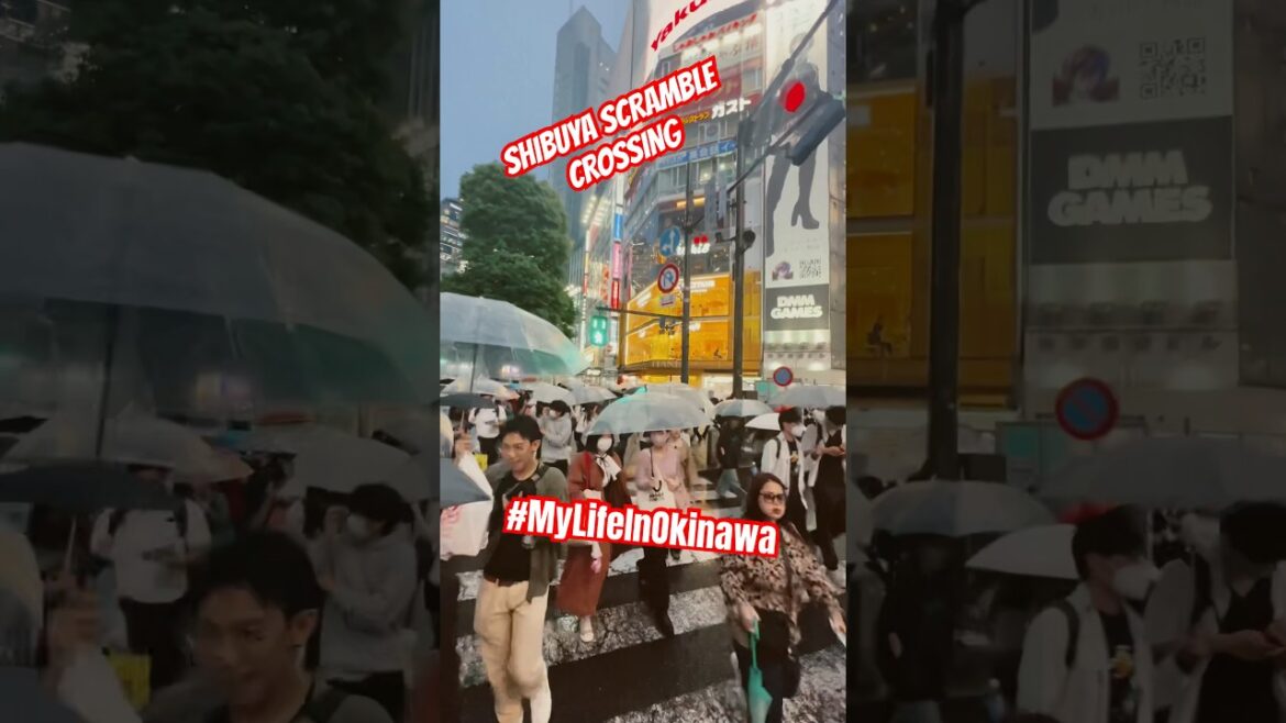 Shibuya Scramble Crossing 😎🇯🇵 #mylifeinokinawa #travel #shibuya