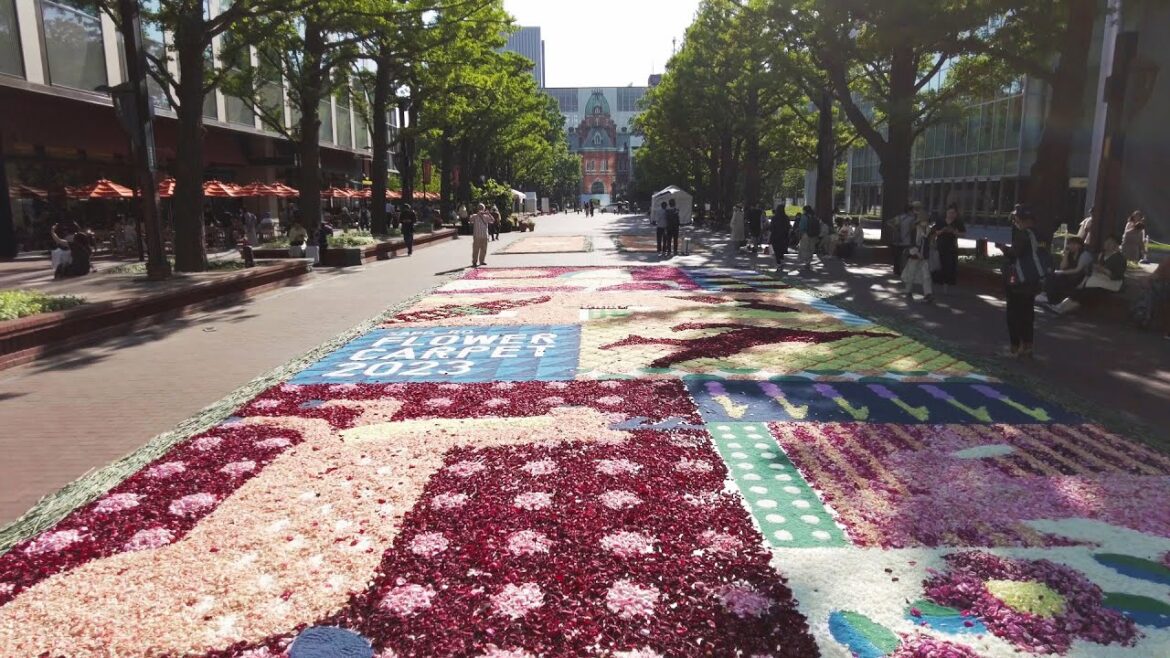 【4K】サッポロフラワーカーペット 2023 散策 | 日本 北海道 札幌 中央区【Binaural ASMR】 【4K】サッポロフラワーカーペット 2023 散策 | 日本 北海道 札幌 中央区【Binaural ASMR】