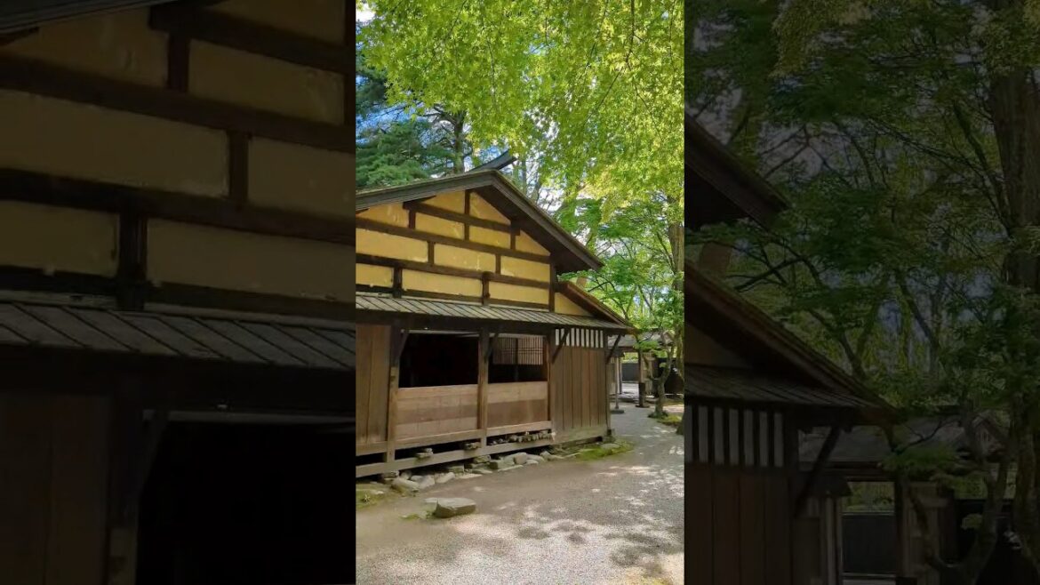 📍 Kakunodate Town | Akita, Tohoku, Japan.#japan #tohoku #akita #japanesetradition #littlekyoto