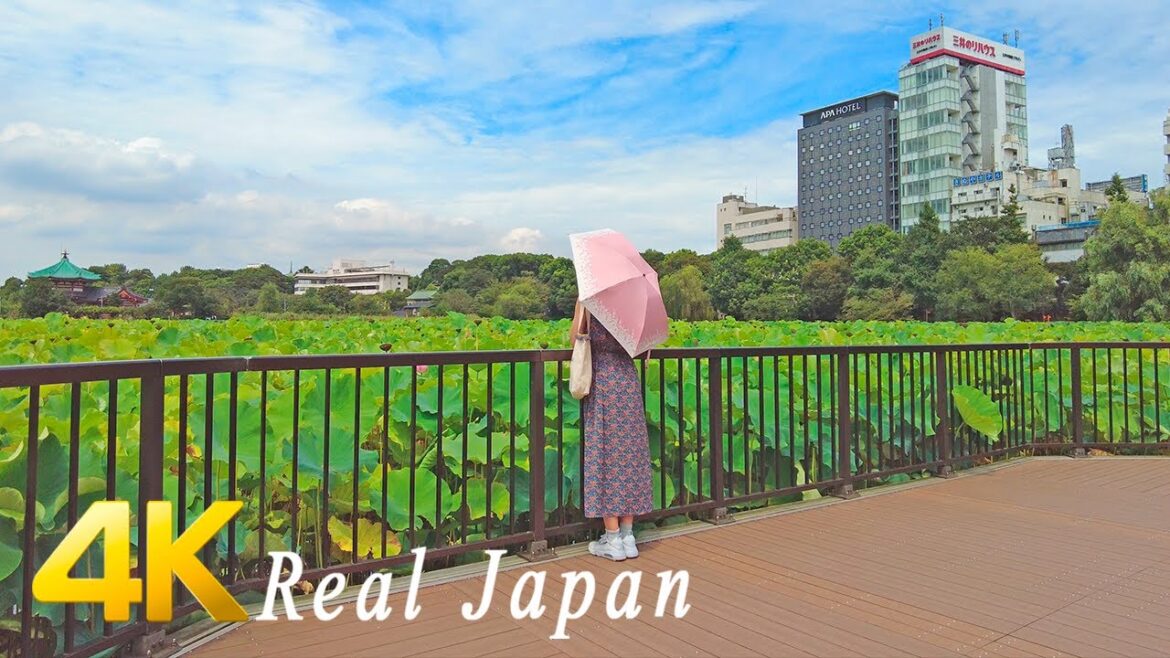 Tokyo On Foot: A Stroll from Akihabara to Ueno Park’s Boat Ride – 秋葉原 上野恩賜公園 4K Tokyo On Foot: A Stroll from Akihabara to Ueno Park's Boat Ride - 秋葉原 上野恩賜公園 4K